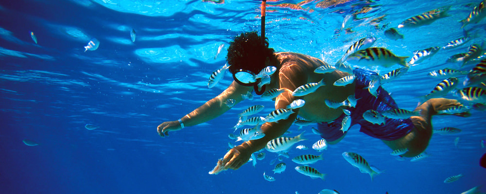 scuba-diving-in-flamingo