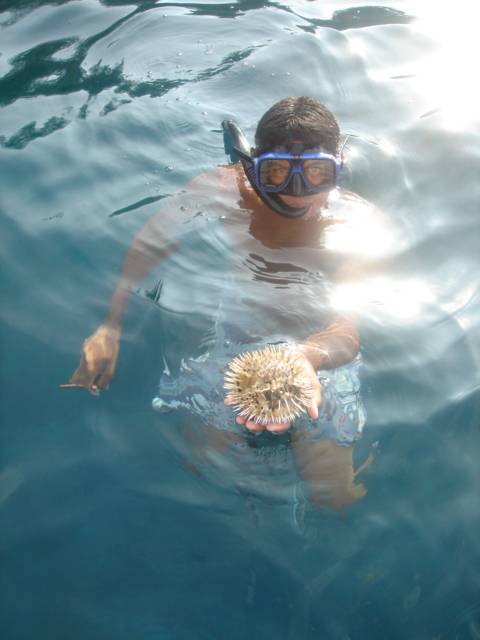 atv-snorkeling-tour-6