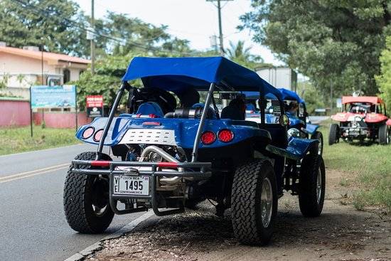 culture-buggy-tour-9