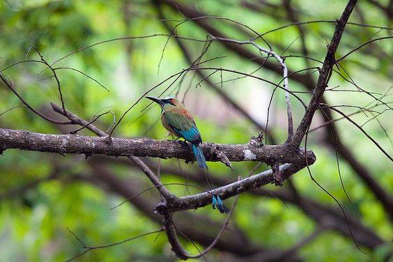 rincon-hiking-tour-6