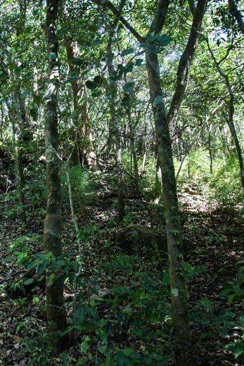 rincon-hiking-tour-7