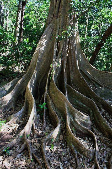 rincon-hiking-tour-9